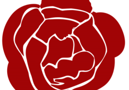http://breastfeedingrose.org/wp-content/uploads/2021/05/cropped-ROSE_300dpi-vector-web-1-768x323-1.png
